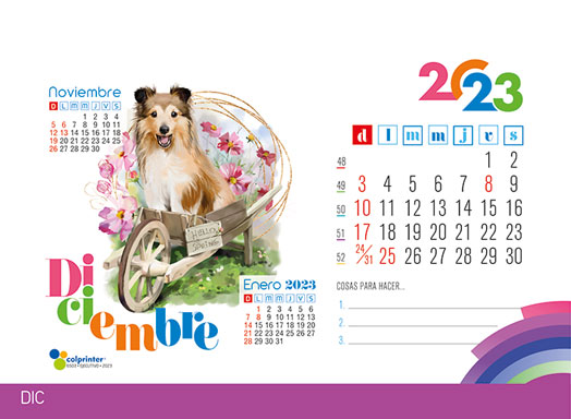 Escritorio Ejecutivo 